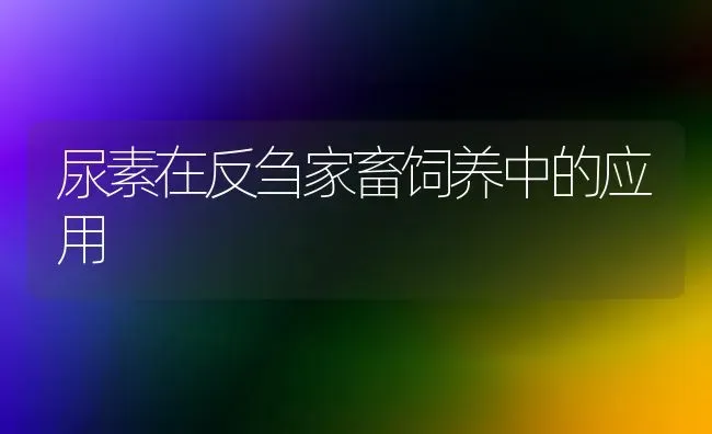 尿素在反刍家畜饲养中的应用 | 家畜养殖