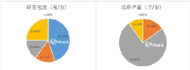 龙虾养殖转型，才是赚钱之道！