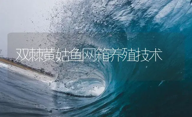 双棘黄姑鱼网箱养殖技术 | 海水养殖