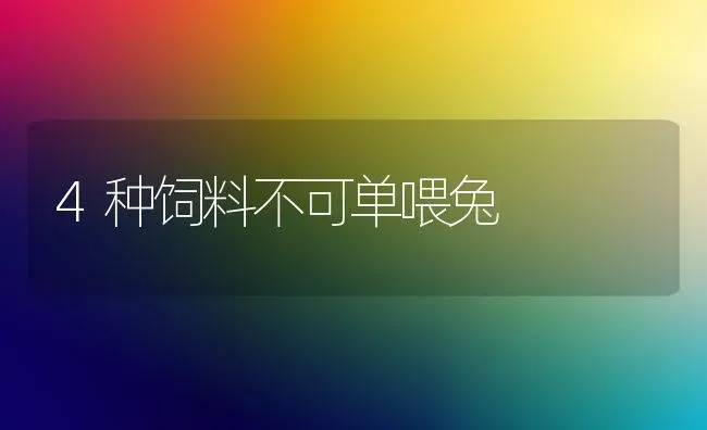 4种饲料不可单喂兔 | 动物养殖饲料