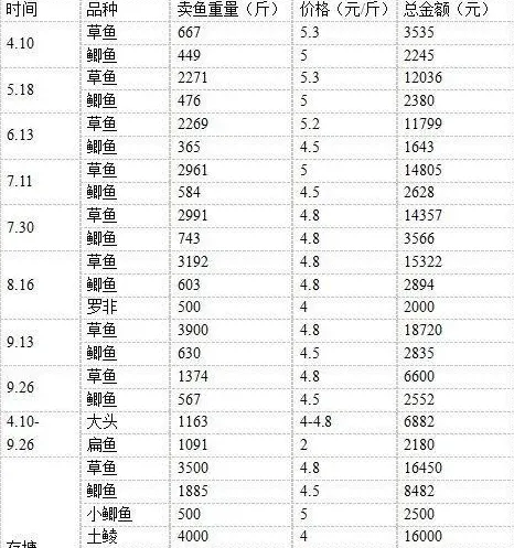 草鱼鲫鱼鲮鱼大混养模式 每亩效益五千五