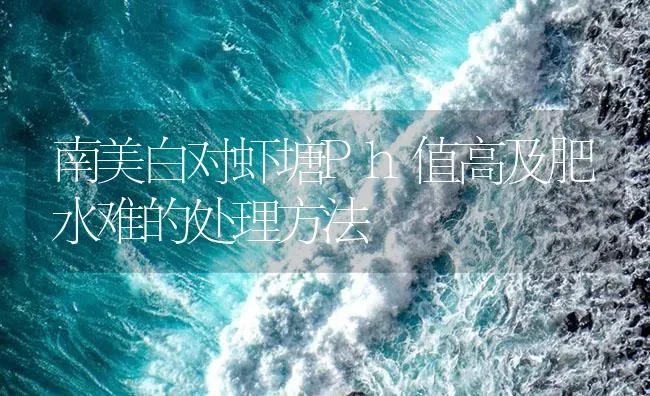 南美白对虾塘Ph值高及肥水难的处理方法 | 海水养殖