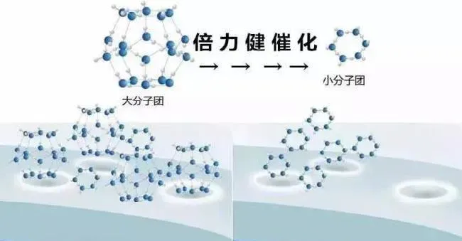 套养对虾海参收益好品质佳，速来开启修复活水新模式！！