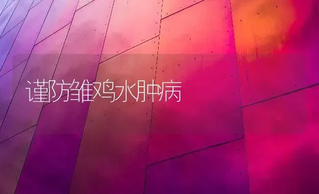 谨防雏鸡水肿病 | 家禽养殖