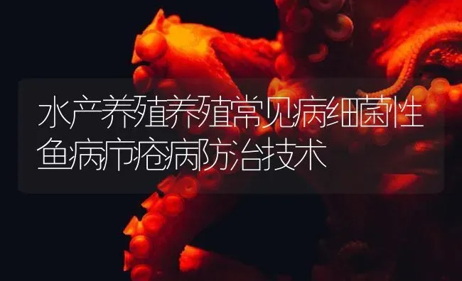 水产养殖养殖常见病细菌性鱼病疖疮病防治技术 | 养殖病虫害防治