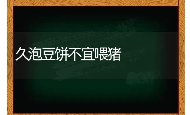 久泡豆饼不宜喂猪 | 家畜养殖