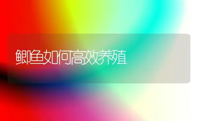 鲫鱼如何高效养殖 | 淡水养殖