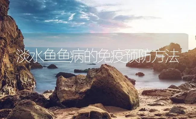 淡水鱼鱼病的免疫预防方法 | 养殖病虫害防治