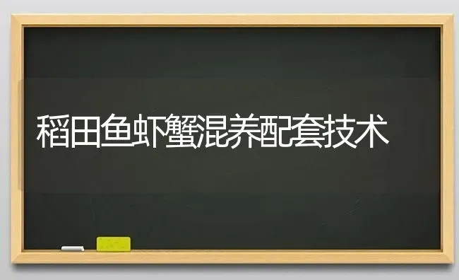 稻田鱼虾蟹混养配套技术 | 淡水养殖