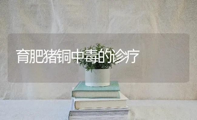 育肥猪铜中毒的诊疗 | 家畜养殖