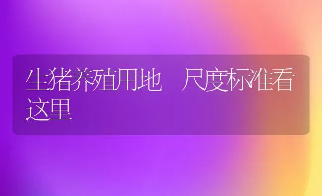 生猪养殖用地 尺度标准看这里 | 家畜养殖