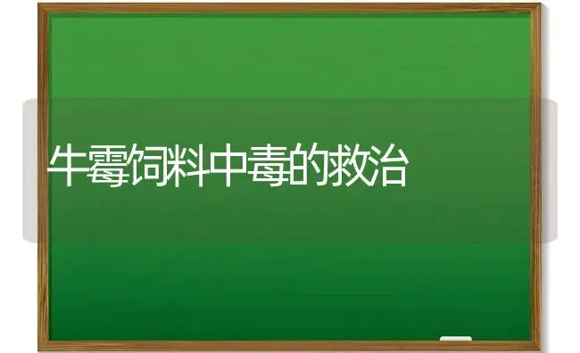 牛霉饲料中毒的救治 | 动物养殖饲料