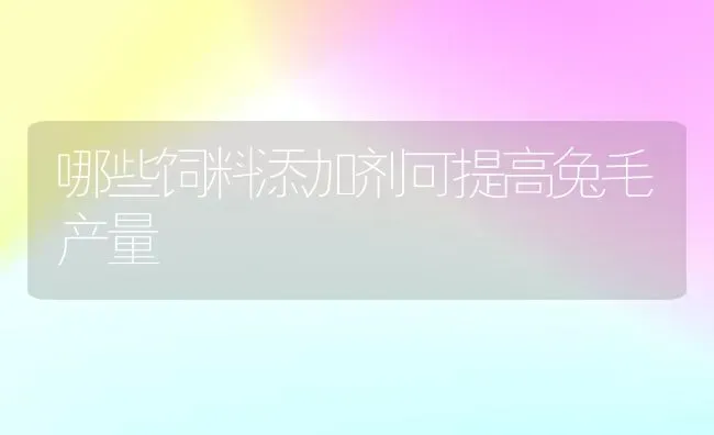 哪些饲料添加剂可提高兔毛产量 | 动物养殖饲料