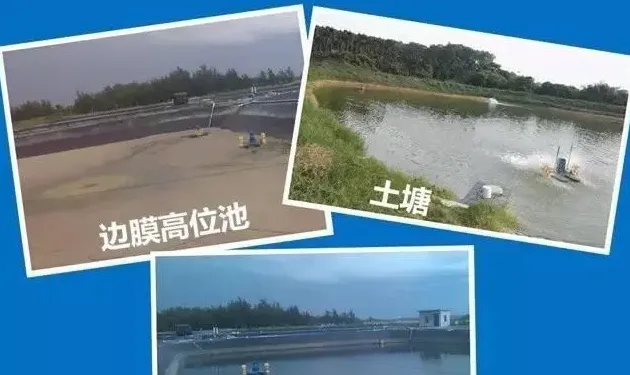平均成功率达6成！琼海淡水养对虾成功原因分析与借鉴