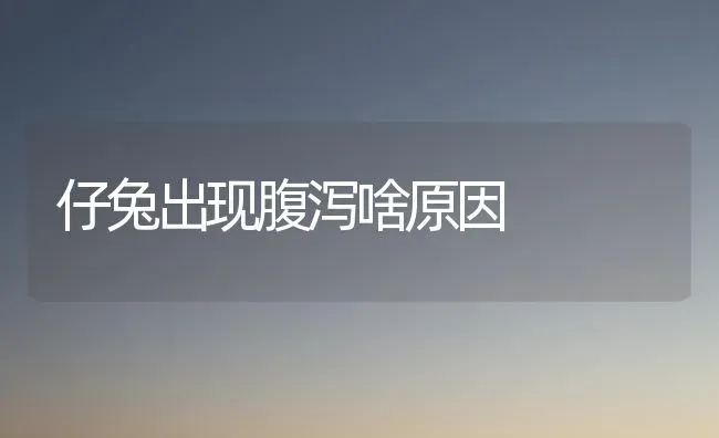 仔兔出现腹泻啥原因 | 家畜养殖
