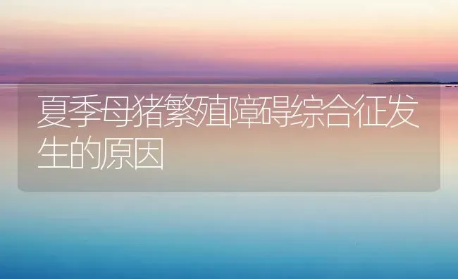 夏季母猪繁殖障碍综合征发生的原因 | 家畜养殖