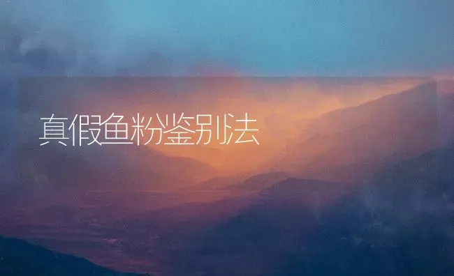 真假鱼粉鉴别法 | 动物养殖饲料