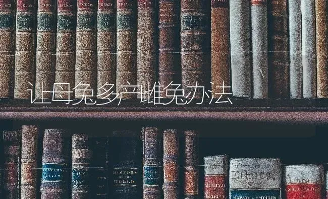 让母兔多产雌兔办法 | 家畜养殖