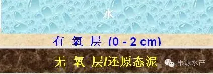 再谈池塘养殖改底之重要性