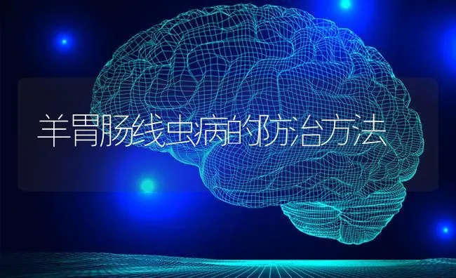 羊胃肠线虫病的防治方法 | 家畜养殖