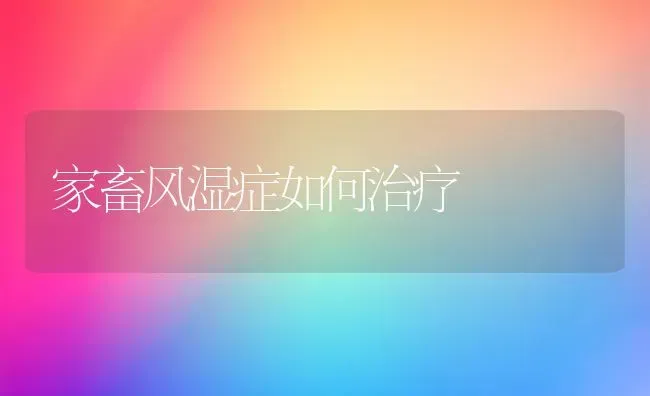 家畜风湿症如何治疗 | 家畜养殖