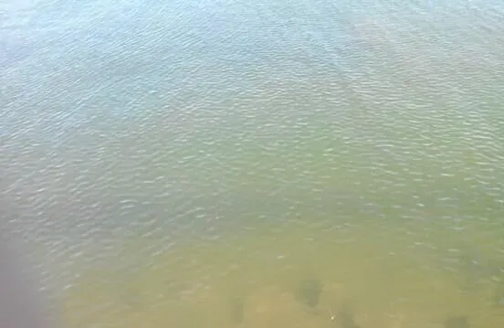 【案例分享】海参圈水体提高透明度的方法