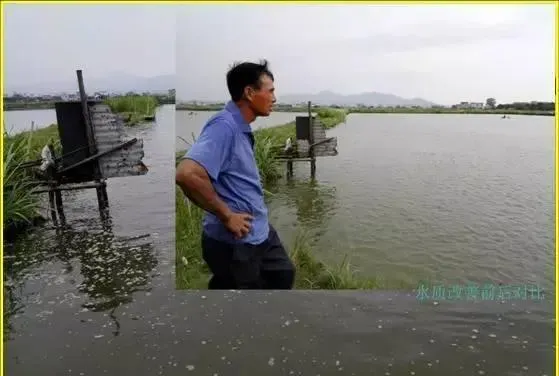 高温季节为什么有的鱼塘不死鱼有的鱼塘死不停