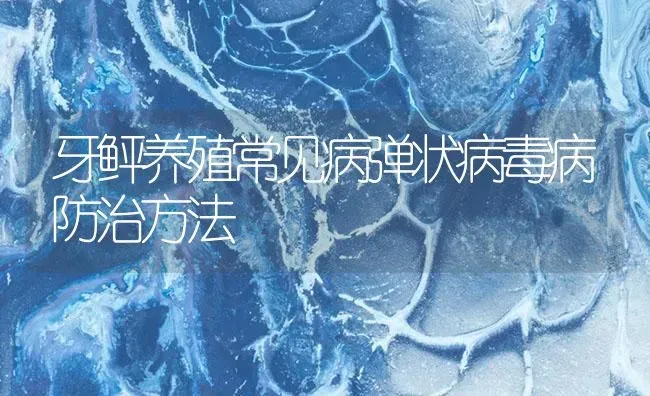 牙鲆养殖常见病弹状病毒病防治方法 | 海水养殖