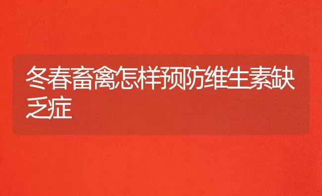 冬春畜禽怎样预防维生素缺乏症 | 家禽养殖