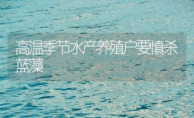 高温季节水产养殖户要慎杀蓝藻 | 动物养殖百科