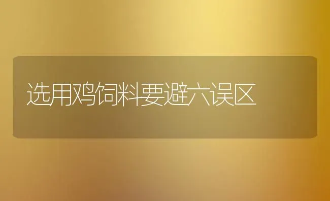 选用鸡饲料要避六误区 | 家禽养殖