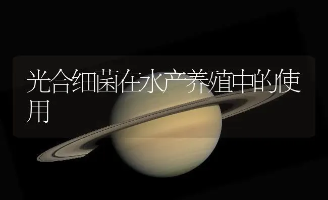 光合细菌在水产养殖中的使用 | 动物养殖百科