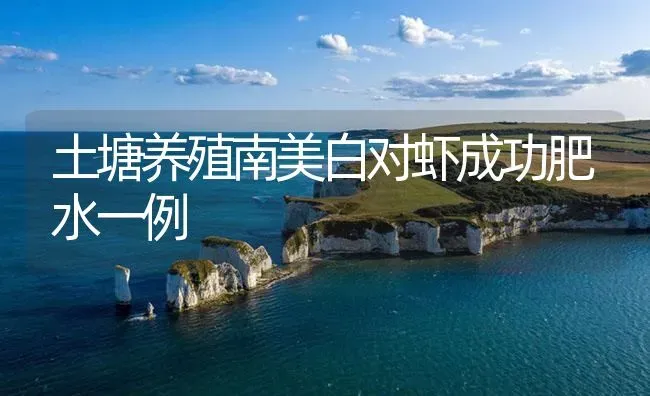 土塘养殖南美白对虾成功肥水一例 | 海水养殖