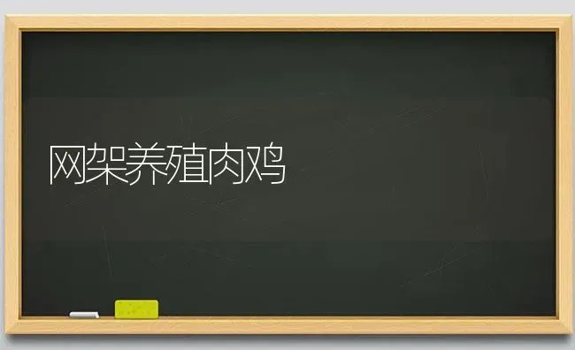 网架养殖肉鸡 | 家禽养殖