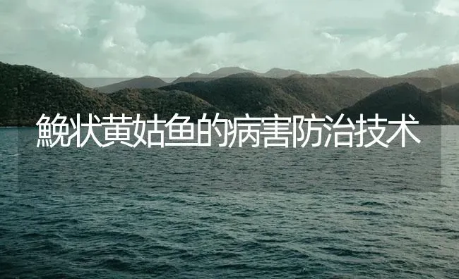 鮸状黄姑鱼的病害防治技术 | 海水养殖