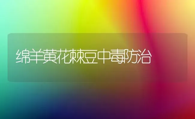 绵羊黄花棘豆中毒防治 | 家畜养殖