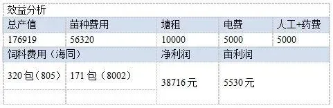 草鱼鲫鱼鲮鱼大混养模式 每亩效益五千五