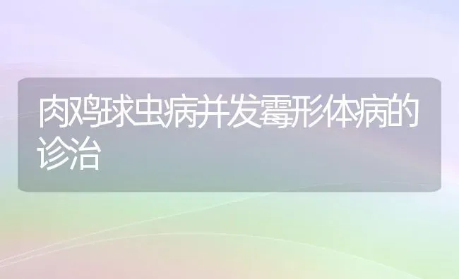 肉鸡球虫病并发霉形体病的诊治 | 家禽养殖