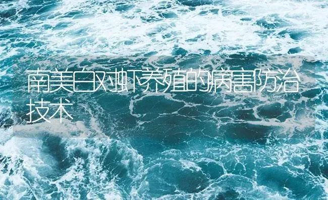 南美白对虾养殖的病害防治技术 | 海水养殖