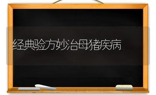 经典验方妙治母猪疾病 | 家畜养殖