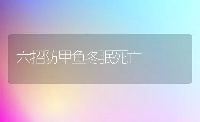 六招防甲鱼冬眠死亡 | 淡水养殖