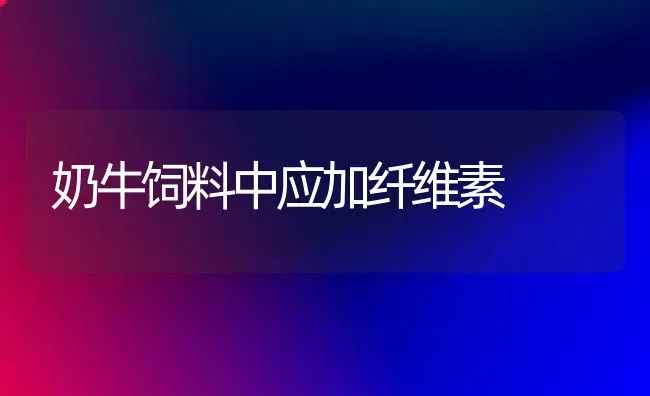 奶牛饲料中应加纤维素 | 动物养殖饲料