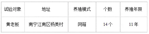 网箱罗非鱼养殖饵料系数1.13月增重高达八两