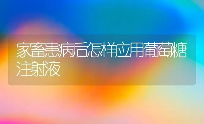 家畜患病后怎样应用葡萄糖注射液 | 家畜养殖