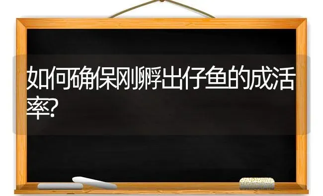 如何确保刚孵出仔鱼的成活率? | 淡水养殖