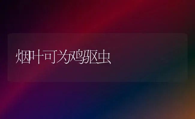 烟叶可为鸡驱虫 | 家禽养殖