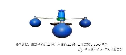 高温期鮰鱼池塘强化管理“五大措施”