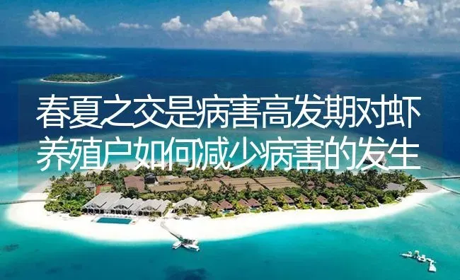 春夏之交是病害高发期对虾养殖户如何减少病害的发生 | 海水养殖