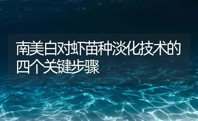 南美白对虾苗种淡化技术的四个关键步骤 | 海水养殖