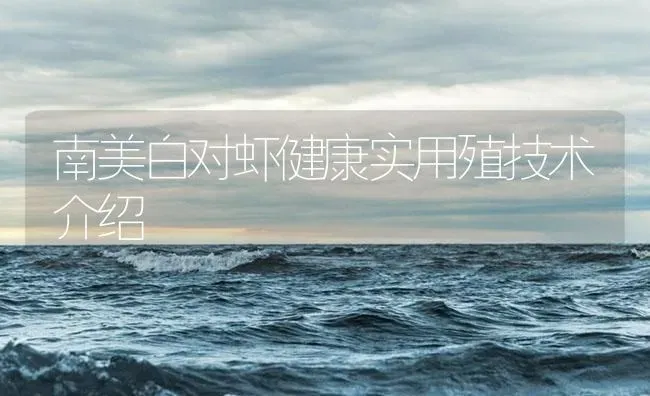 南美白对虾健康实用殖技术介绍 | 海水养殖